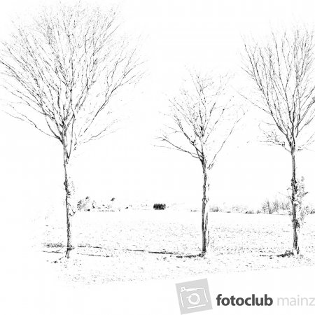 Three Trees